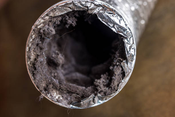 Best Home Air Vent Cleaning  in Sunnyside, WA